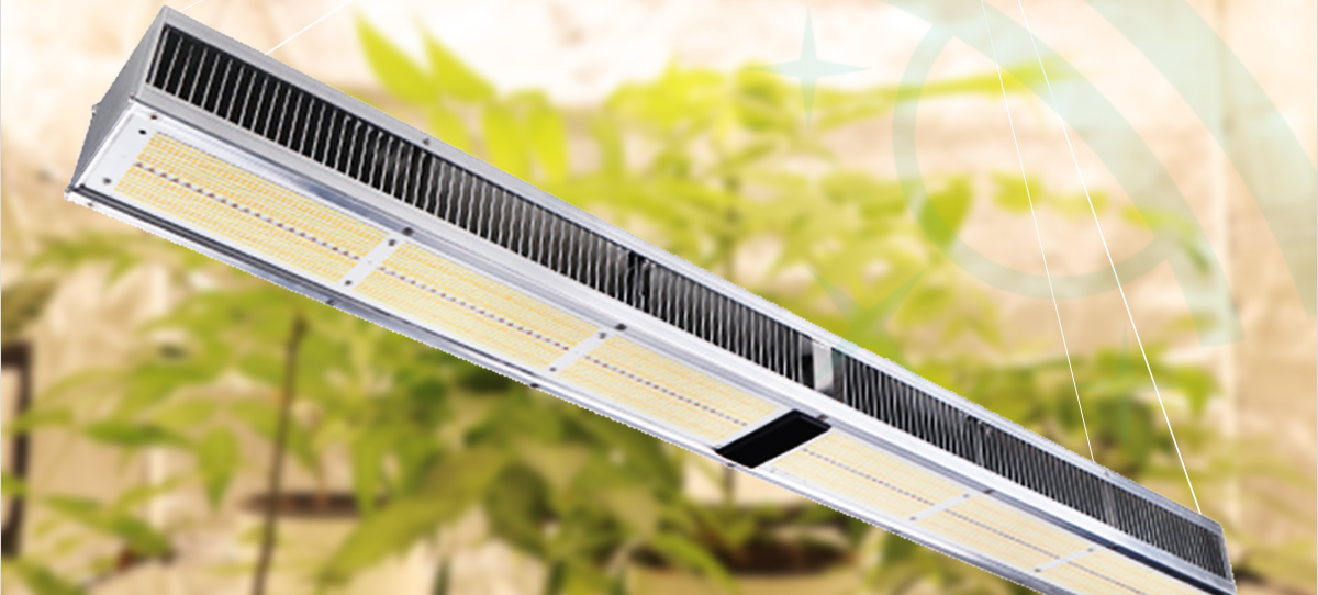 Grow-Light-SURANTE_02.jpg